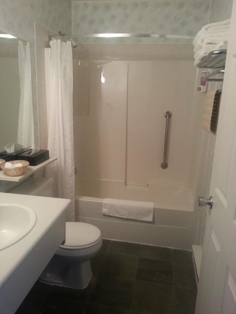 Combined shower/tub, free toiletries, hair dryer, towels