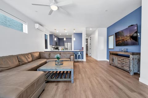 Lower Unit Living Area 1