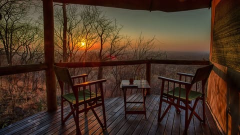 Family Tent | Terrace/patio