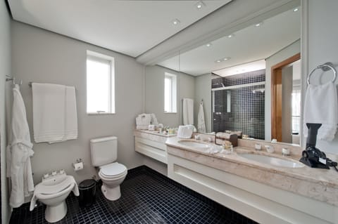 Elite Double Room | Bathroom | Shower, hair dryer, towels