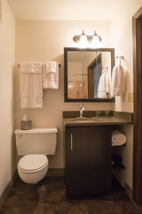 Deluxe Suite, 2 Bedrooms, 2 Bathrooms | Bathroom | Free toiletries, hair dryer, towels