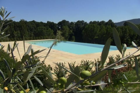 Seasonal outdoor pool, pool umbrellas, sun loungers