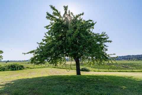 An artwork of beauty.