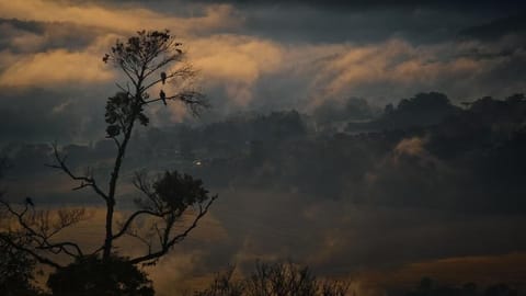 Land view from property