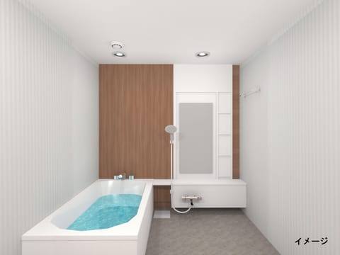 Combined shower/tub, hair dryer, electronic bidet, towels