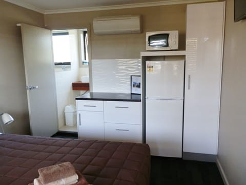 Full-size fridge, microwave, coffee/tea maker, electric kettle