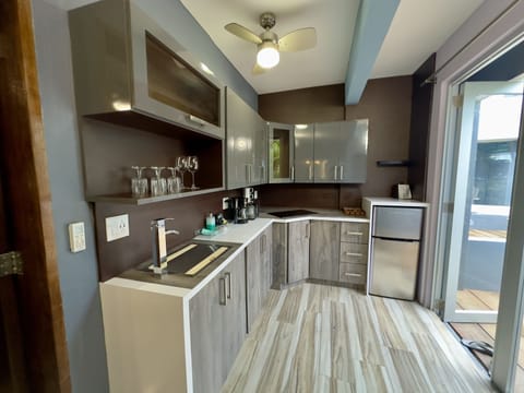 Deluxe Apartment | Private kitchen | Mini-fridge, stovetop, coffee/tea maker, toaster