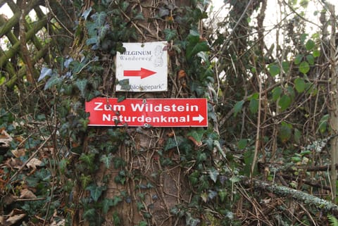 Land view from property