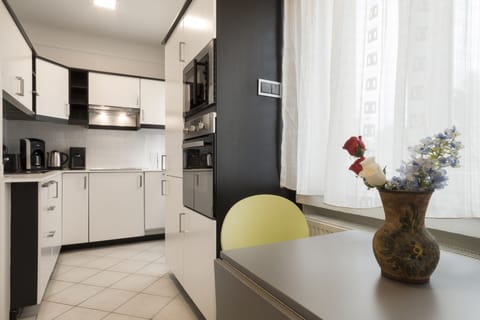 Deluxe Apartment | Private kitchen | Fridge, oven, dishwasher, electric kettle