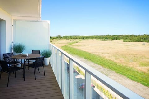 view from the terrace