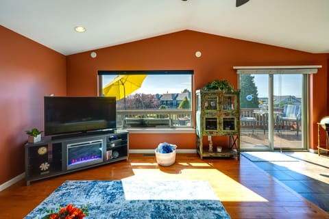 TV, fireplace, books