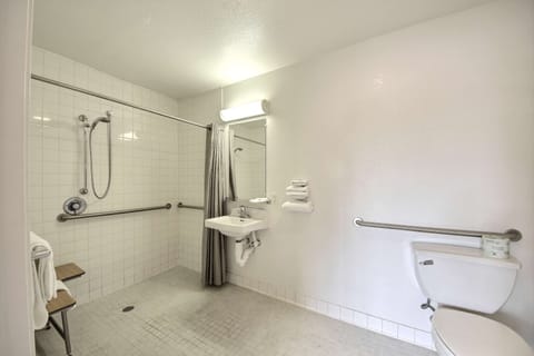 Standard Room, 1 Double Bed, Accessible, Non Smoking | Bathroom | Combined shower/tub, towels, soap, toilet paper