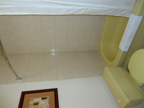 Combined shower/tub, free toiletries, towels