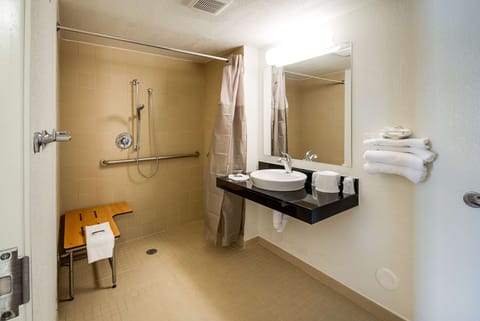 Standard, 1 Queen Bed, Accessible/Roll in Shower, Non Smoking | Accessible bathroom