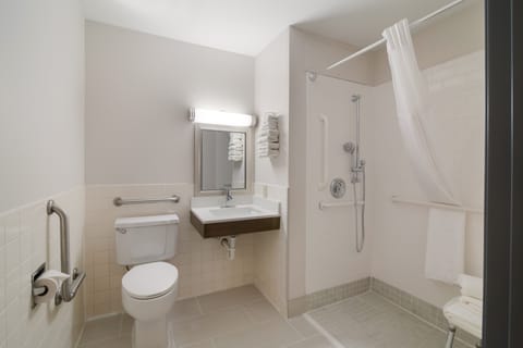 Room, 1 Queen Bed, Accessible, Non Smoking | Bathroom | Free toiletries, hair dryer, towels