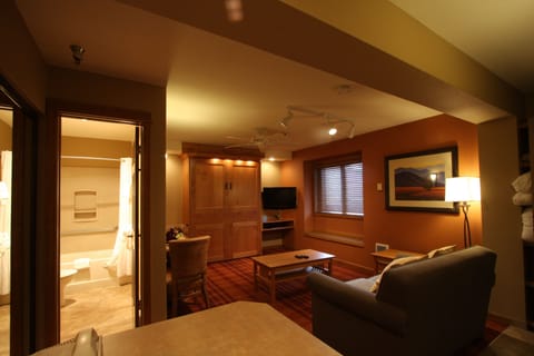 Deluxe Studio | Living area | LED TV, DVD player