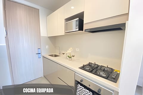 Basic Apartment | Private kitchen | Fridge, microwave, oven, coffee/tea maker