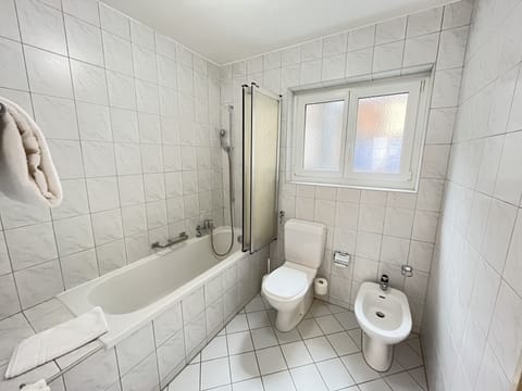 Standard Double Room | Bathroom | Free toiletries, hair dryer, towels