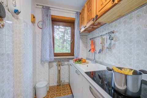 Family Apartment, 2 Bedrooms (Appartamento 7 Bello Mountain View) | Private kitchen | Fridge, microwave, stovetop, dishwasher