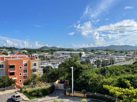 Family Apartment | Balcony view