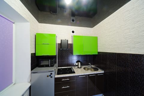 Classic Apartment | Private kitchen | Full-size fridge, microwave, stovetop, electric kettle