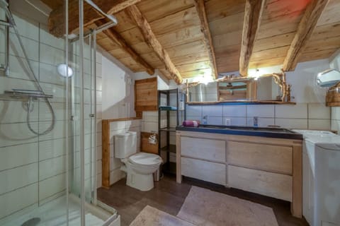 Family Cottage, 2 Bedrooms, Mountain View, Mountainside | Bathroom | Shower, rainfall showerhead, hair dryer, toilet paper