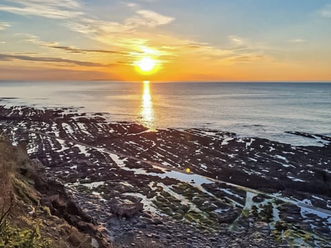 Surrounding area | The Old Workshop, Appledore