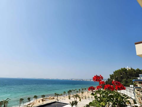 On the beach, white sand