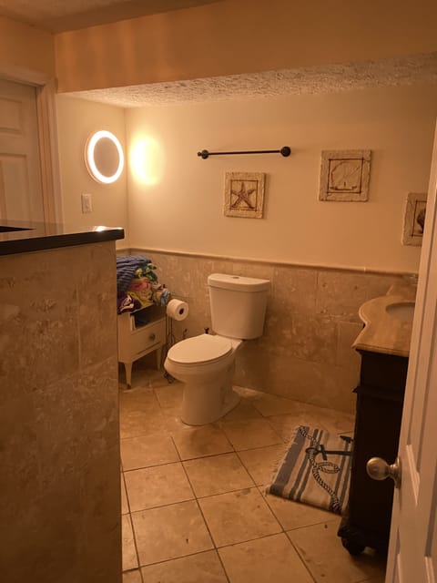 Lower level bathroom