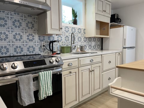 Induction Stove and fan