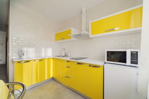 Basic Apartment | Private kitchen | Fridge, microwave, electric kettle, cookware/dishes/utensils