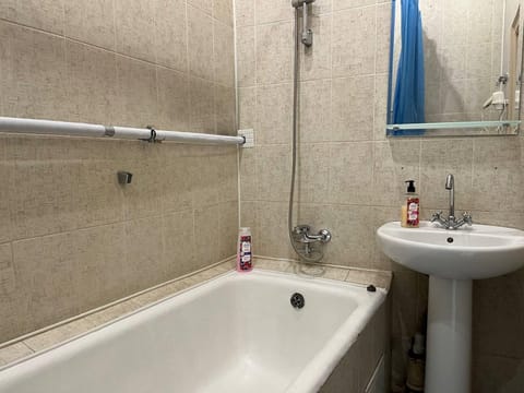 Basic Apartment | Bathroom | Bathtub, hair dryer, towels, soap