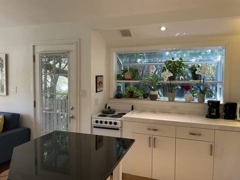 Kitchen: garden window, island