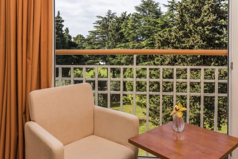 Economy Room (French bed park side) | 1 bedroom, in-room safe, desk, blackout drapes