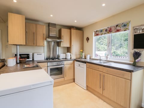 Fridge, dishwasher, electric kettle, toaster