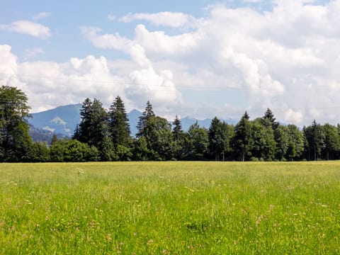 View from Holiday Home [summer]