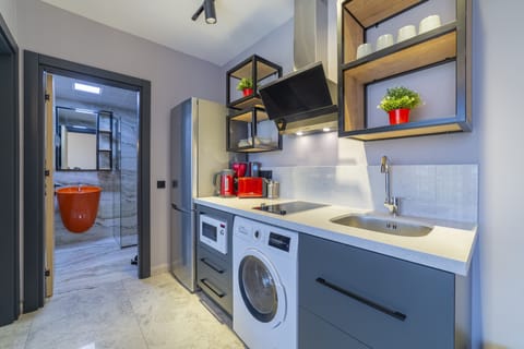 Superior Apartment | Private kitchen | Full-size fridge, microwave, stovetop, coffee/tea maker