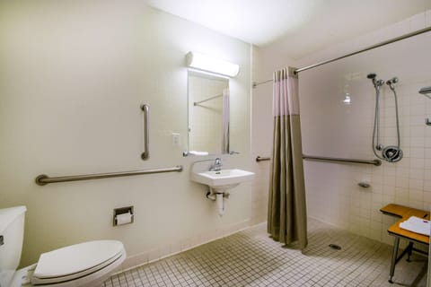Standard Room, 1 Double Bed, Accessible, Non Smoking | Accessible bathroom