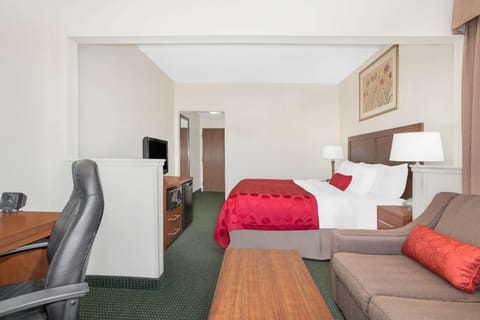 Suite, 1 Bedroom, Accessible, Non Smoking | Premium bedding, desk, blackout drapes, iron/ironing board