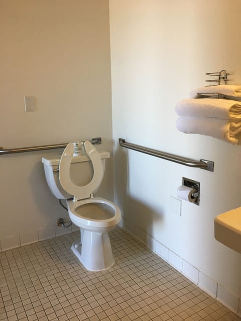 Standard Room, 1 Queen Bed, Accessible, Non Smoking | Bathroom | Shower, hydromassage showerhead, designer toiletries, towels