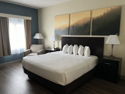 Room, 1 King Bed, Accessible, Non Smoking (Roll-In Shower) | Desk, laptop workspace, blackout drapes, iron/ironing board