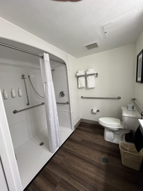 Room, 1 King Bed, Accessible, Non Smoking (Roll-In Shower) | Bathroom | Combined shower/tub, free toiletries, hair dryer, towels