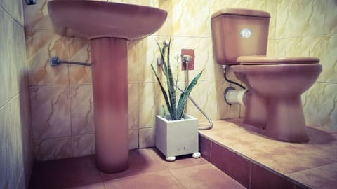 Deluxe Villa | Bathroom | Designer toiletries, bidet, towels, soap