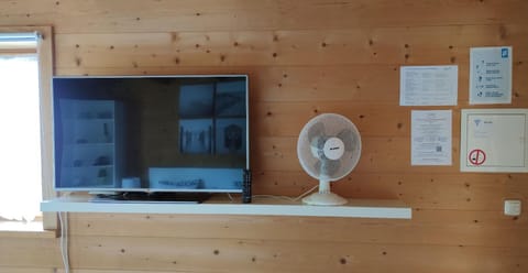 Television