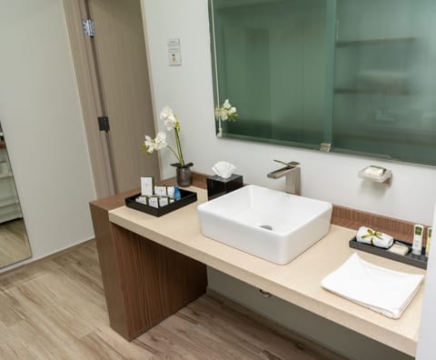 Deluxe Room | Bathroom | Shower, rainfall showerhead, free toiletries, hair dryer