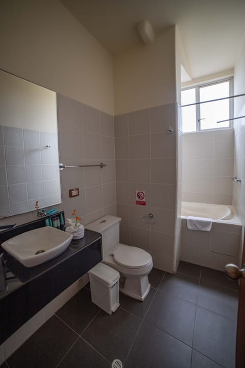 Combined shower/tub, free toiletries, hair dryer, towels