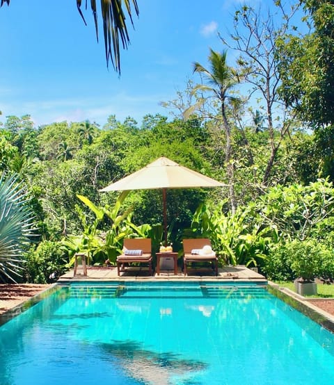 Outdoor pool, pool umbrellas, sun loungers