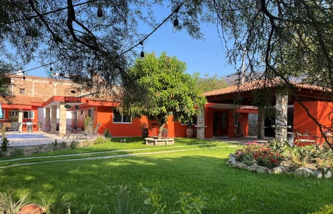 You see one of the mesquite trees at the top, and a mango tree in the middle.
