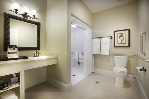Premium Room, 1 King Bed with Sofa bed | Bathroom | Shower, designer toiletries, hair dryer, towels