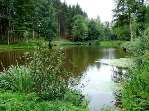 Weiher in Ohlenhard